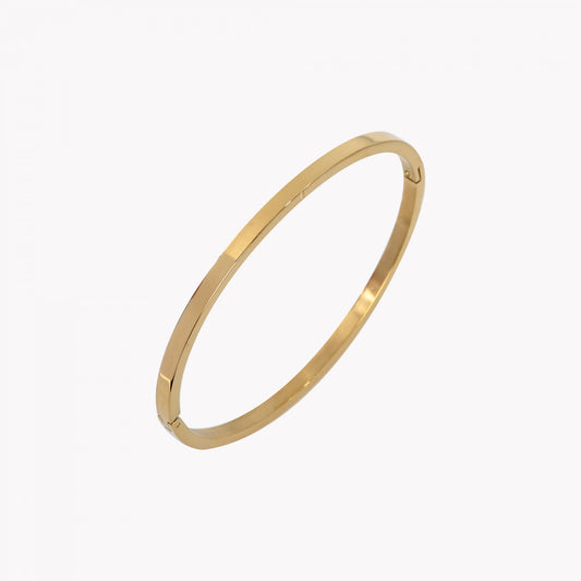 Pulseira rígida lisa